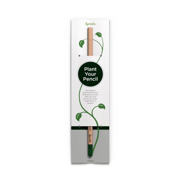 Single Header Card for Sproutworld pencil Thumbnail